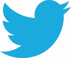 Twitter da problemas